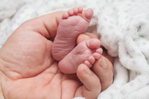 Newborn concept Stock Photos