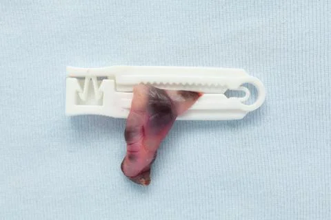 Newborn concept Stock Photos