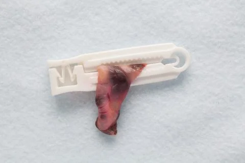 Newborn concept Stock Photos