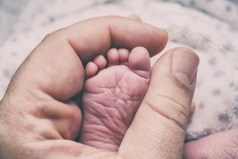 Newborn concept Stock Photos