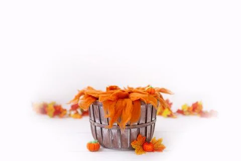 Newborn digital backdrop with fall items. Autumn background Stock Photos