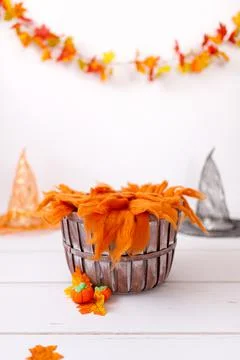 Newborn digital backdrop with fall items. Autumn background Stock Photos