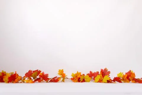 Newborn digital backdrop with fall items. Autumn background Stock Photos
