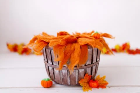 Newborn digital backdrop with fall items. Autumn background Stock Photos