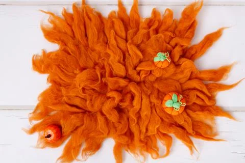 Newborn digital backdrop with fall items. Autumn background Stock Photos