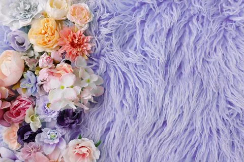 Newborn digital backdrop with flowers. Stock Photos