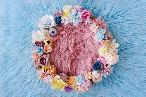 Newborn digital backdrop with flowers. Stock Photos