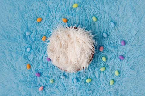 Newborn digital background flokati with easter egg decoration Stock Photos