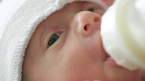Newborn eats from a bottle Stock Footage 78803036