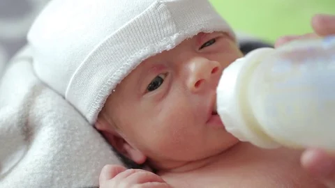 Newborn eats from a bottle Video stock 78803076