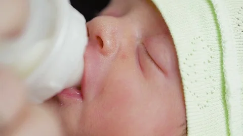 Newborn eats from a bottle Stock Footage 80925107
