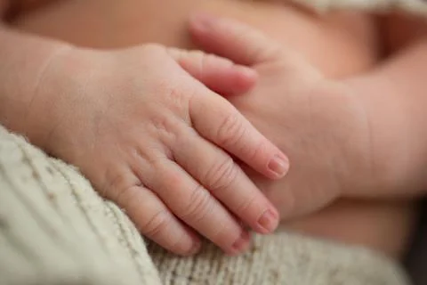 Newborn hands 库存照片