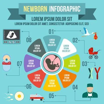 Newborn infographic elements, flat style Stock Illustration