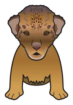 Newborn lion vector drawing on isolated background cartoon mammal animal concept Stock Illustration