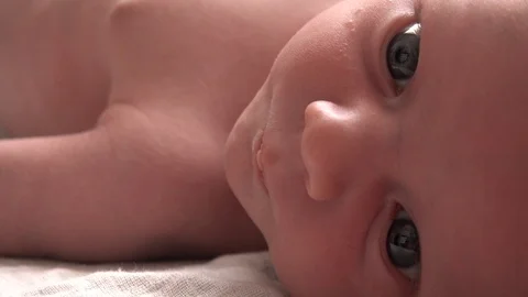 Newborn looking at everything calmly Stock Footage 94225120