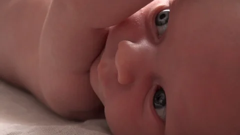 Newborn moving and looking at everything Stock Footage 94225019