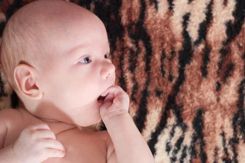 Newborn Stock Photos