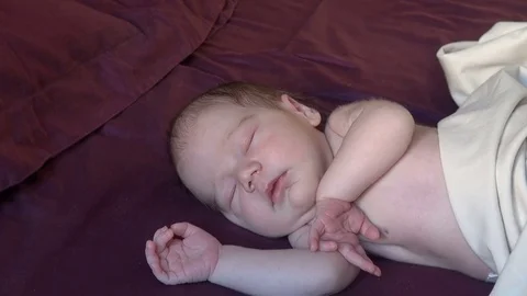 Newborn sleeping Stock Footage 70683667
