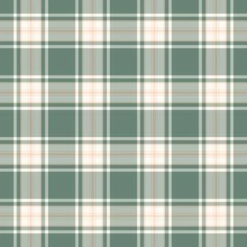 Newborn textile pattern check, vichy tartan seamless background. Scrapbook .. Stock Illustration