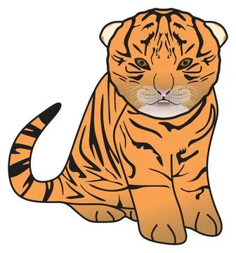 Newborn tiger vector drawing on isolated background cartoon mammal animal Stock Illustration