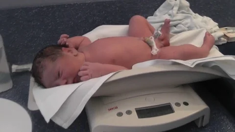 NewBorn Weighting Stock Footage 77684664