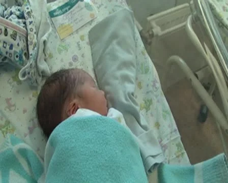 Newborns Vídeo Stock 8955933