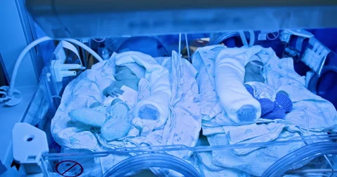 Newborns in intensive care unit under blue light Video stock 290780019