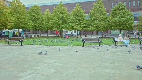 Newcastle City centre, Eldon Square  bus stops Stock Footage 163256173