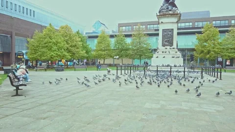 Newcastle City centre, Eldon Square  bus stops Stock Footage 163256250