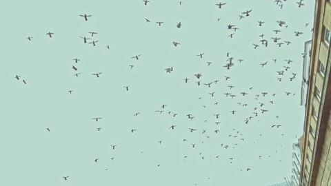 Newcastle City centre, Eldon Square  bus stops Stock Footage 163256380