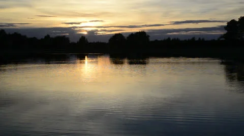 NewForest010613 0434 Stock Footage 25856423