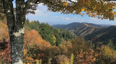 Newfound Gap Overlook, dolly push in Stockbeeldmateriaal 8677234
