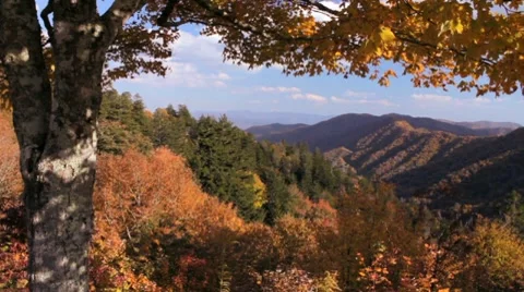 Newfound Gap Overlook Stockbeeldmateriaal 8677250