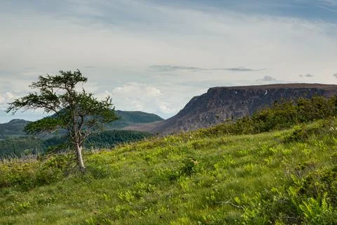 Newfoundland and Labroador Tablelands Stock Photos