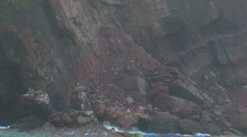 NEWFOUNDLAND COAST Stock Footage 238038