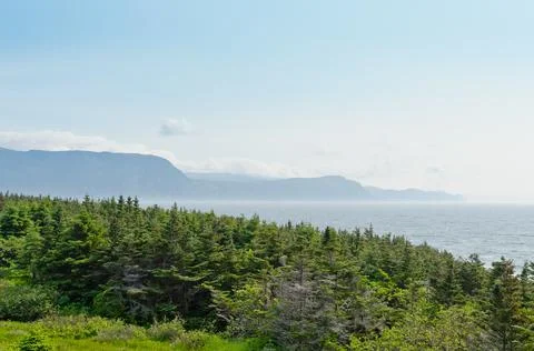Newfoundland coast Stock Photos
