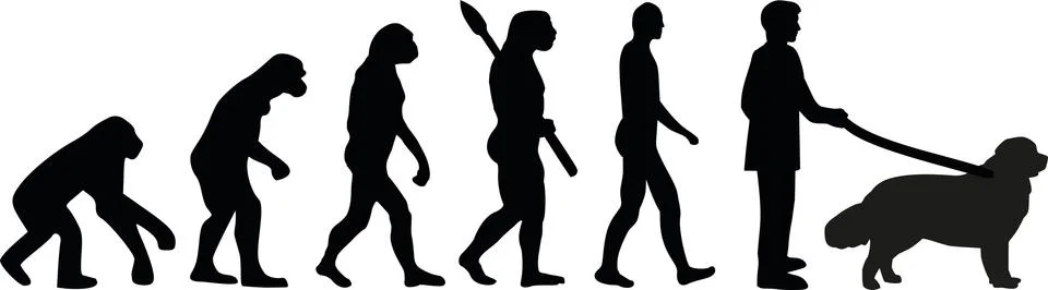 Newfoundland evolution イラスト素材