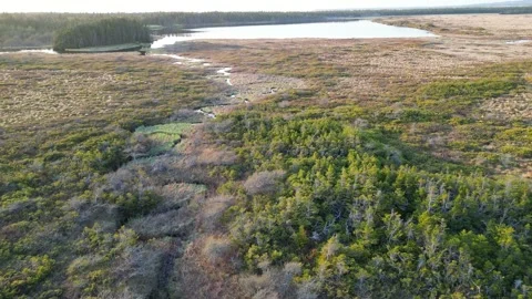 Newfoundland's Rugged Landscape. Spring Meadows and Water Bodies. Video stock 253421978