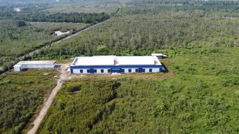 This newly completed blue warehouse is located in a quiet area, full of trees Stock Footage 319970518