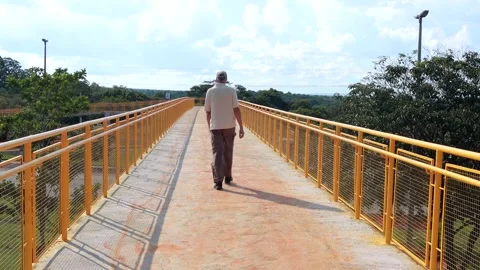 Newly Constructed Elevated Pedestrian Walkway Stock Footage 264778508