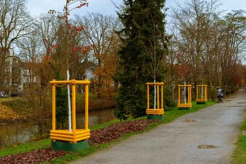 Newly installed tree guards along a scenic walkway in autumn Stock Photos