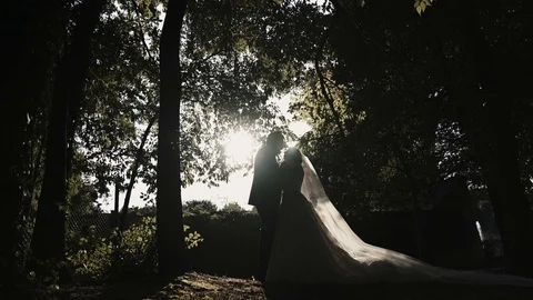 Newly married couple backlit cuddle and kiss. Stock Footage 93320432