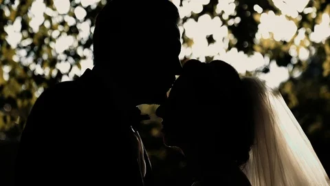 Newly married couple backlit cuddle and kiss. Stock Footage 95817632