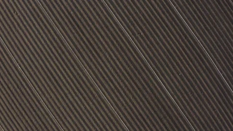 Newly Plowed Fields With Irrigation, Kern Lake, California Drone Aerial View Vidéo 335294057