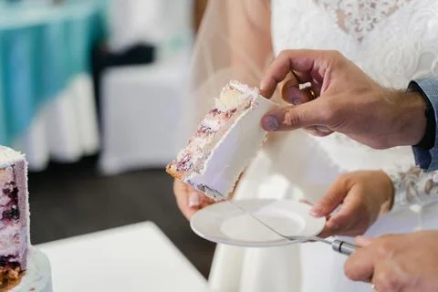 Newlyweds cut a piece of wedding cake Stock Photos