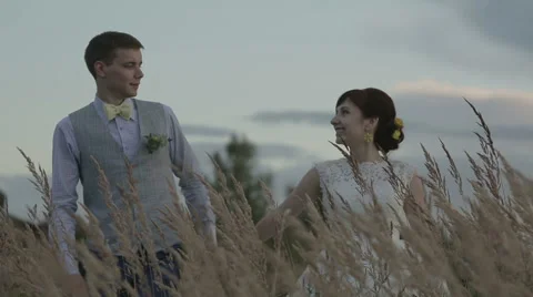 Newlyweds in a field at sunset Stock Footage 63602316