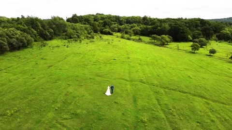 Newlyweds Stock Footage 169475824