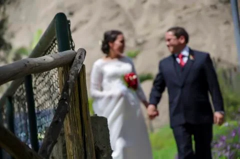The newlyweds Stock Photos