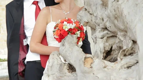 Newlyweds Posing Video stock 52424976