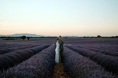 Newlyweds standing close on field at dusk Stock Photos